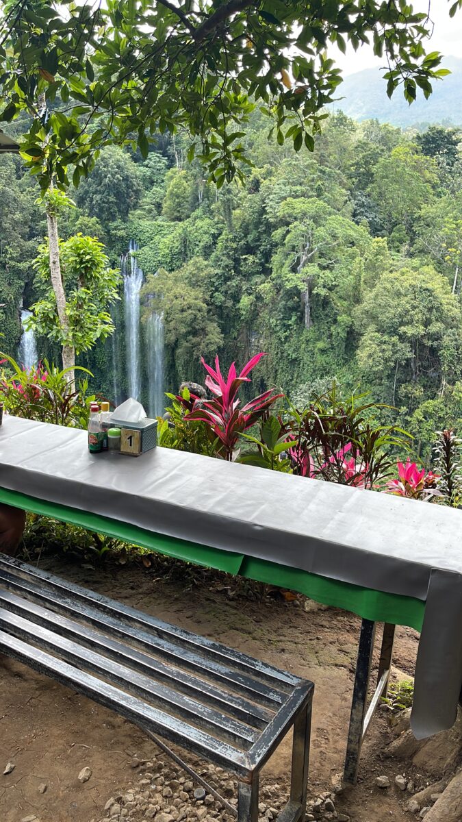 Sekumpul Waterfall Tour by Motorbike from Munduk Elevate