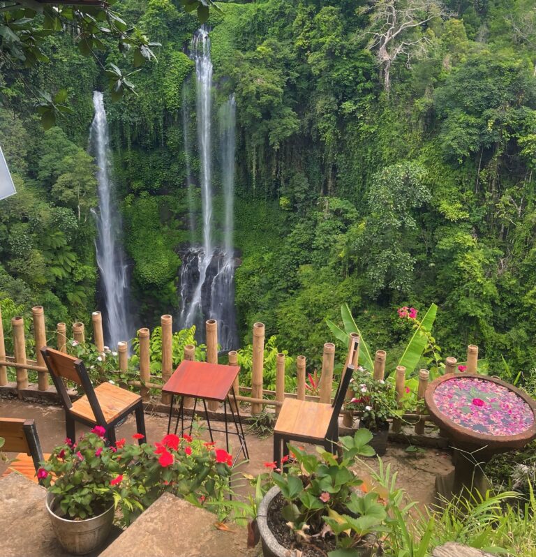 Medium Sekumpul Waterfall Trekking Experience with French Guests