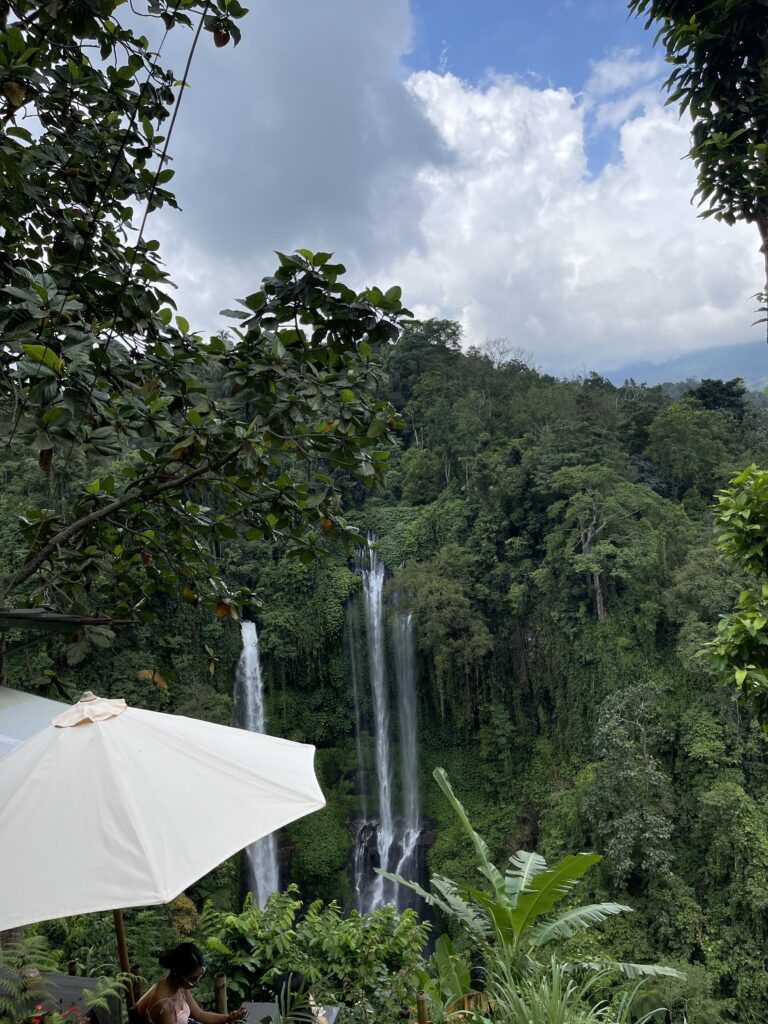 My Experience Guiding 3 Guests from Russia at Sekumpul Waterfall, Bali