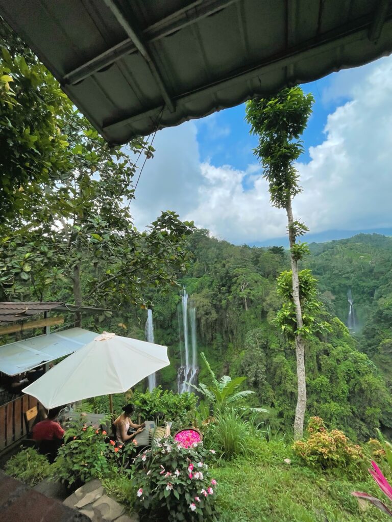 Lunch at Hanging Resto Sekumpul with French Guests