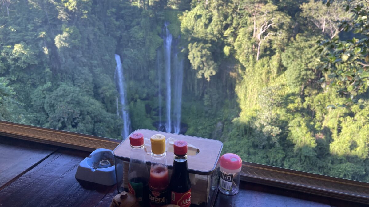 Sekumpul Waterfall & Hanging Resto View