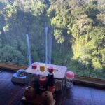 Sekumpul Waterfall & Hanging Resto View
