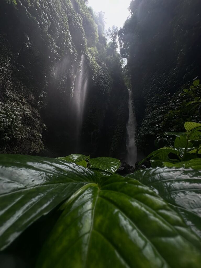 Sekumpul Waterfall Medium Trek with American Guests and Lunch at Hanging Resto