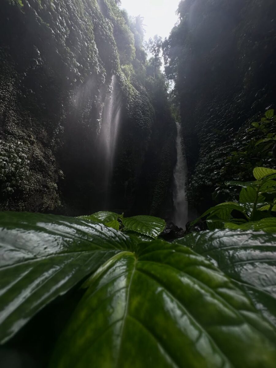 Sekumpul Waterfall Medium Trek with American Guests and Lunch at Hanging Resto
