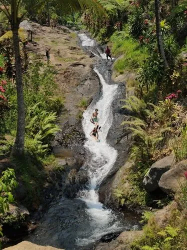 Real Sekumpul Waterfall Tour Reviews: 18+ Traveler Trip Reports