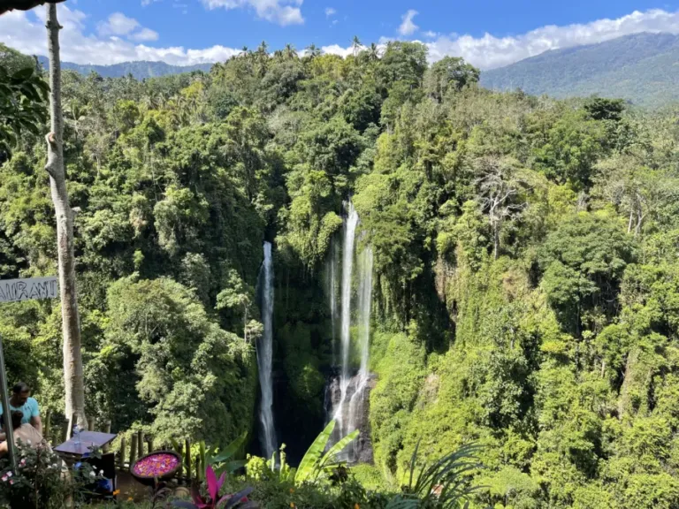 Sekumpul Waterfall Trekking with a French Family